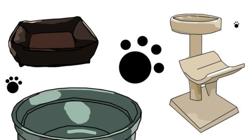 cat accessories